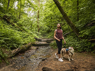 State Park