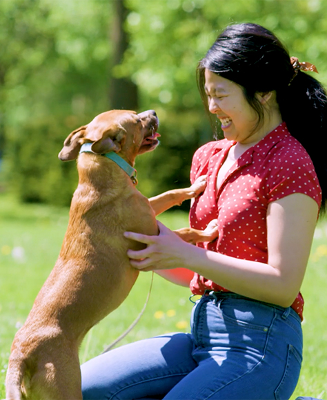 Woman sitting in the grass playing with her dog.