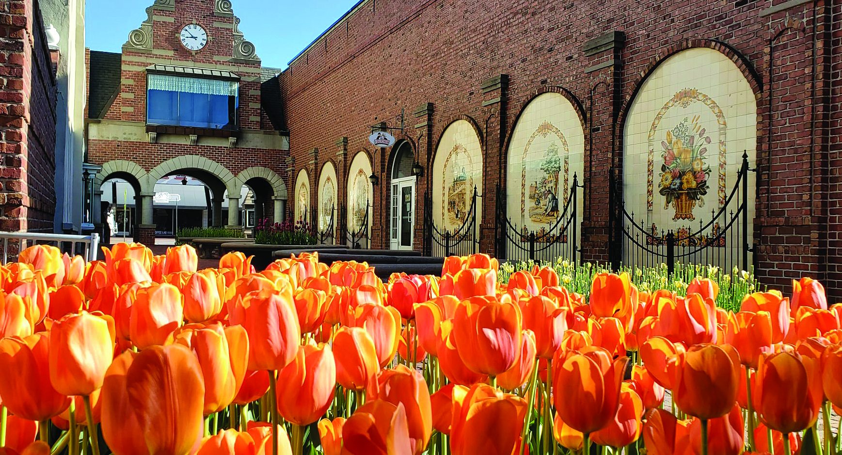 tulips in front of brick building